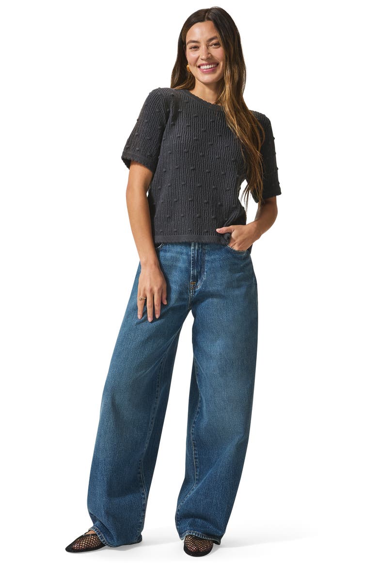 Eliza Short Sleeve Sweater, Alternate, color, LEAD