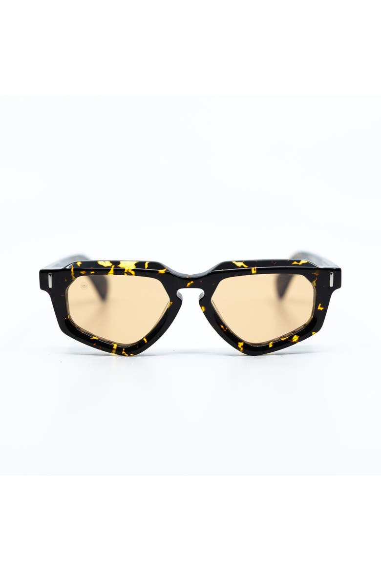 Avitio Havana Sunglasses, Main, color, Orange
