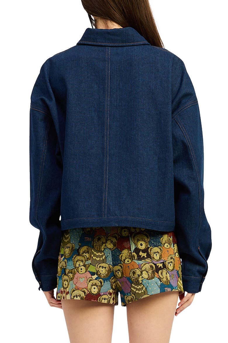 Bearlyn Denim Jacket, Alternate, color, INDIGO BROWN MULTI