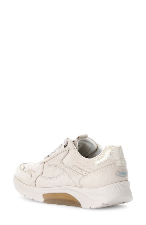Gabor 66.925 Sneaker In Neutral