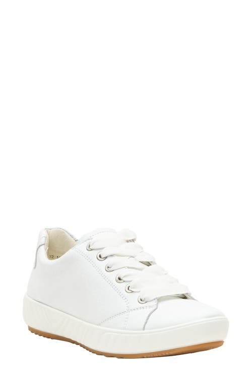 ara Alexandria Suede Sneaker in White  product