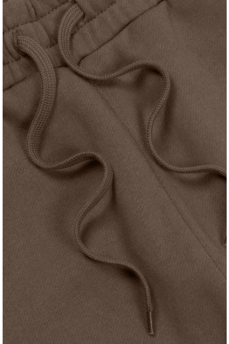 Ghost Midweight Fleece Regular Fit Track Pants, Alternate, color, Walnut