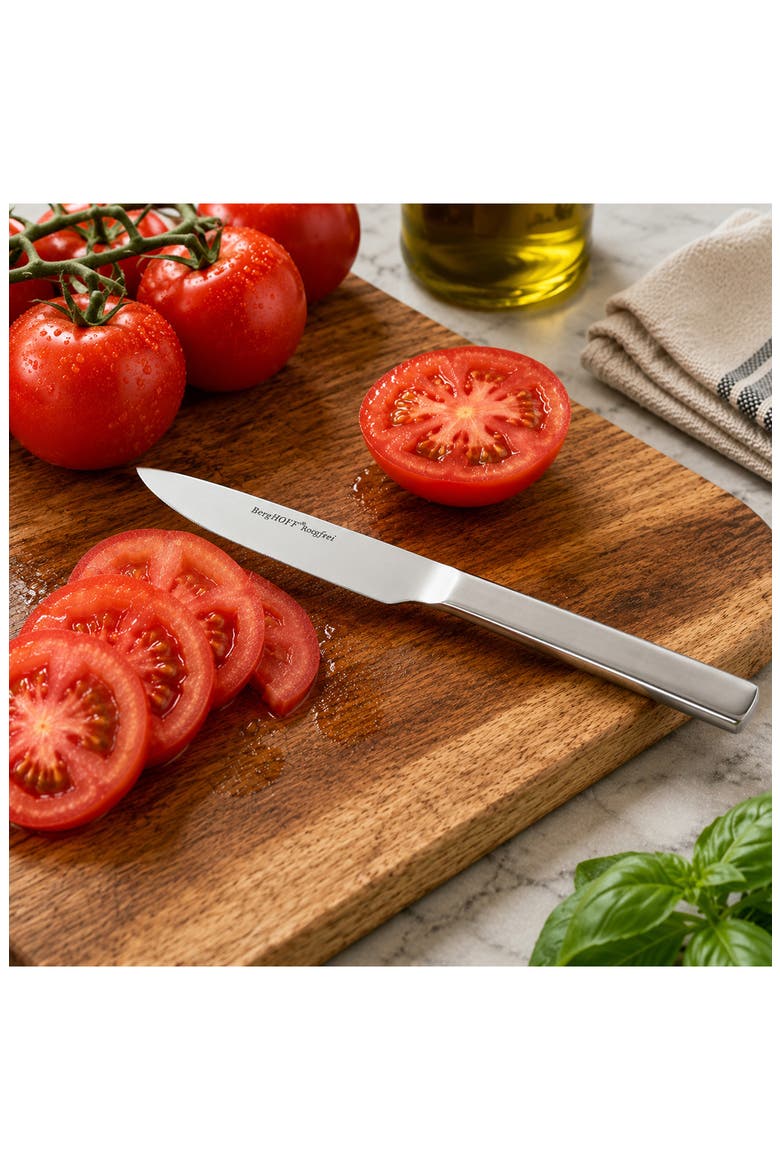 Essentials 4-Piece Steak Knife Set, Alternate, color, SILVER