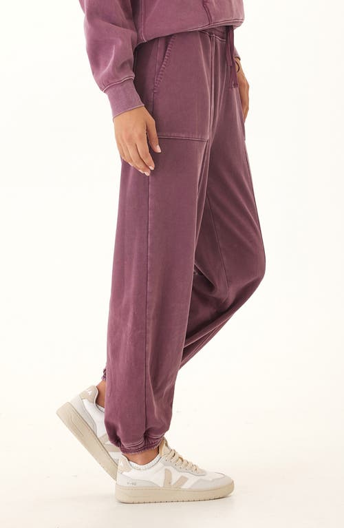 Threads 4 Thought Lottie Sweatpants In Purple