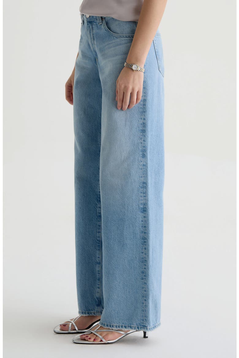 Adria Low Rise Baggy Wide Leg Jeans, Alternate, color, MONDRIAN