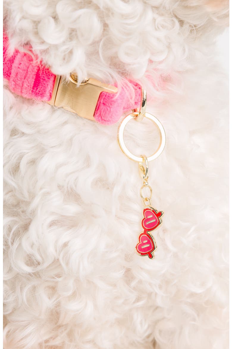 Sunglasses Pet Collar Charm, Alternate, color, Sunglasses