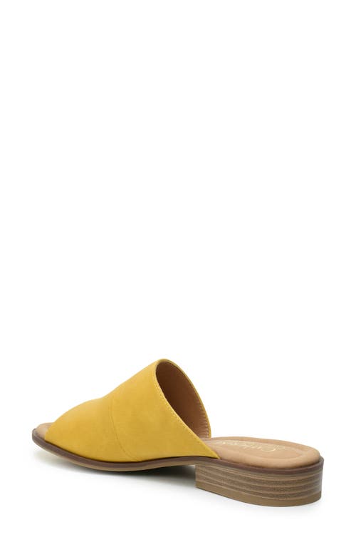Catherine Catherine Malandrino Danielle Slide Sandal In Mustard Nubuck