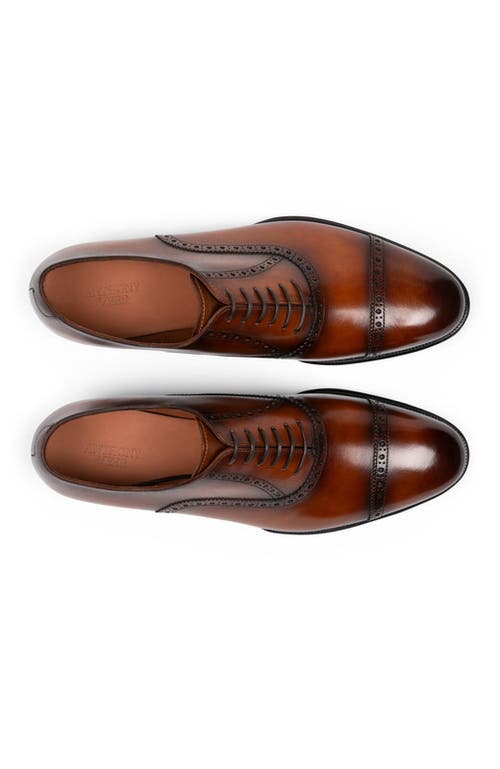 ANTHONY VEER ANTHONY VEER WINDSOR BROGUE
