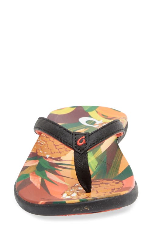 Olukai Ho'opio Hau Flip Flop In Multi