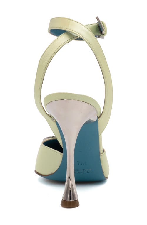 Valentina Rangoni Sirena Palm Tree Appliqué Pump