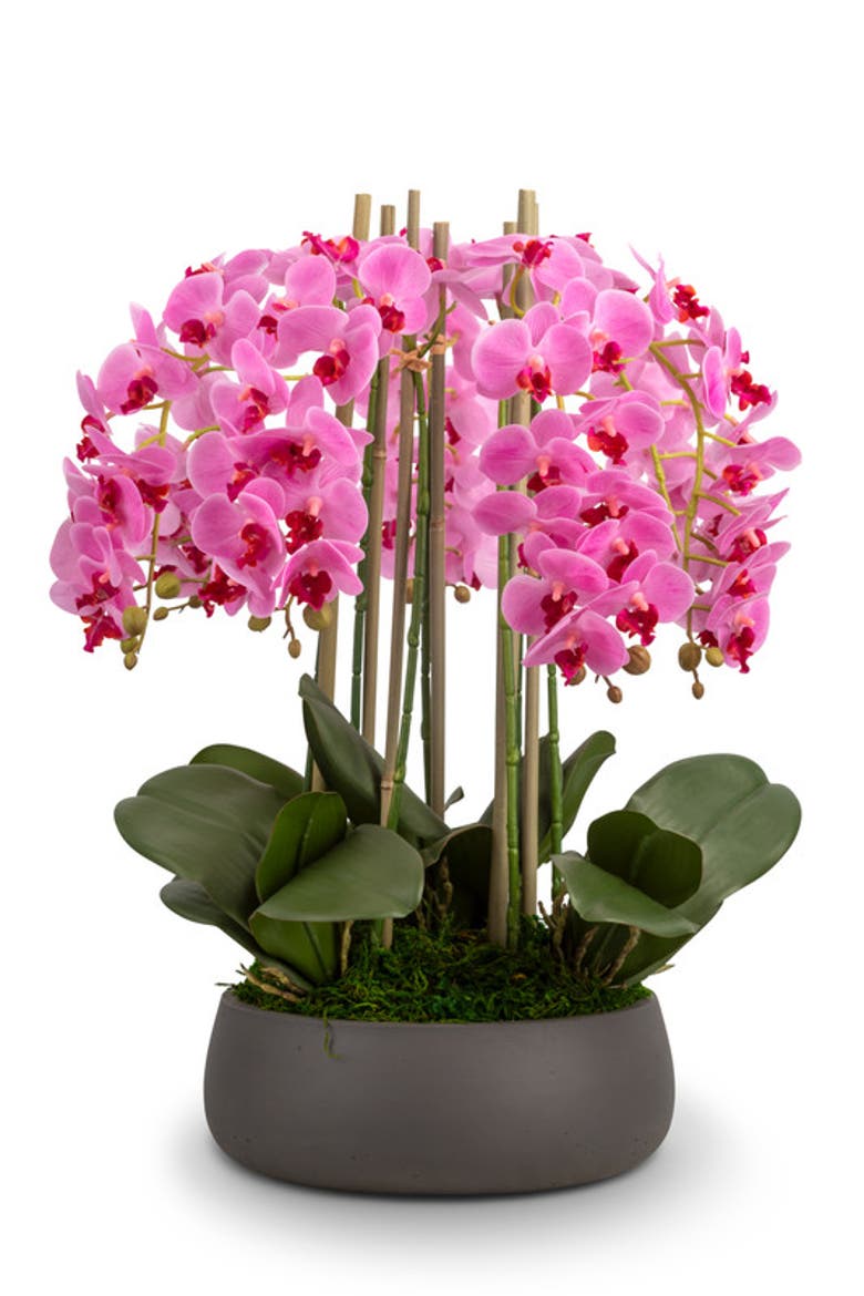 Brianna RealTouch Orchid Arrangement, Main, color, Periwinkle