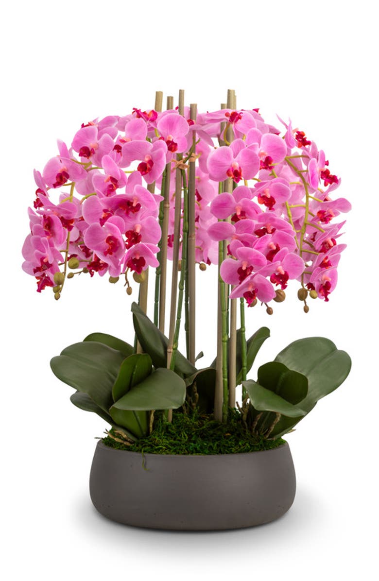 CocoBella Brianna RealTouch Orchid Arrangement, Main, color, Periwinkle