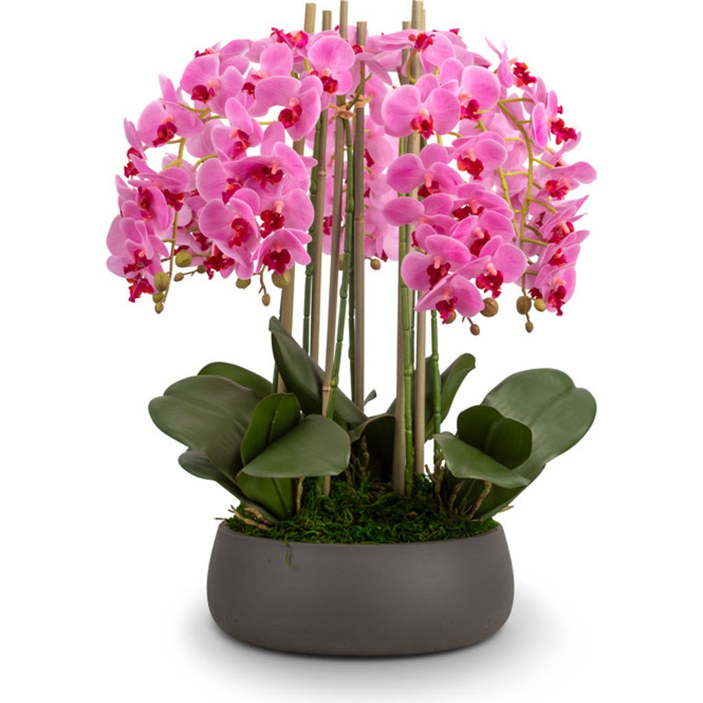 Cocobella Brianna Realtouch Orchid Arrangement In Pink
