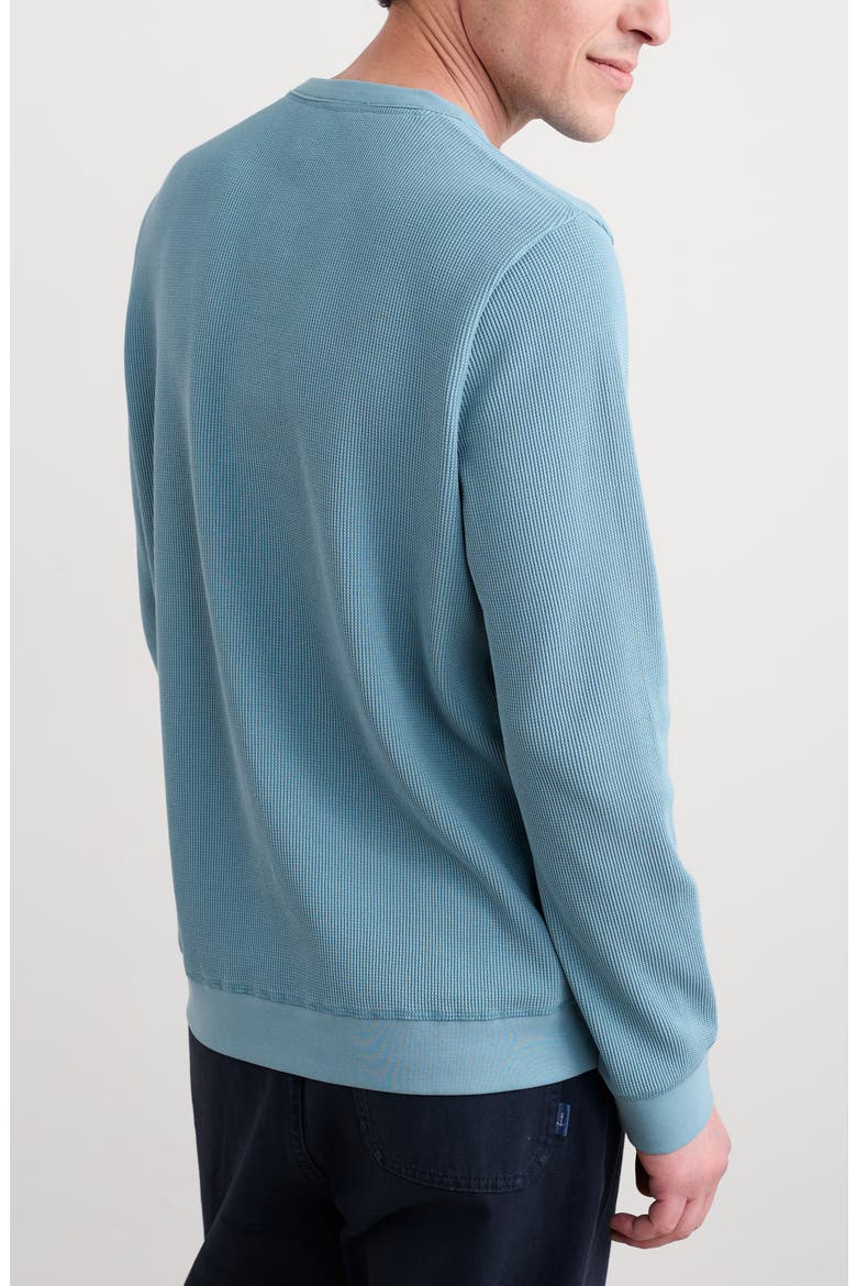 Brigantine Waffle Knit Organic Cotton Henley, Alternate, color, HYDRANGEA