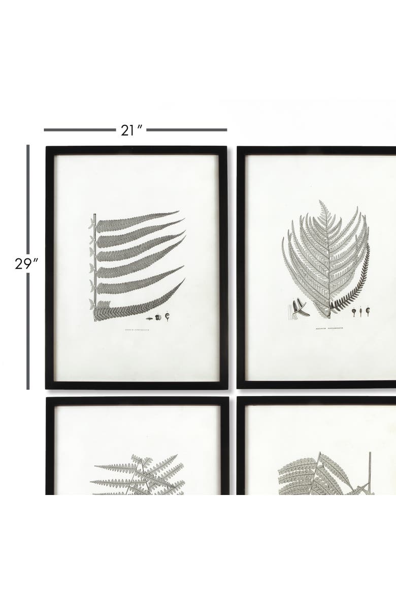 Framed Gray-Tone Fern Prints Set of 6, Alternate, color, Black