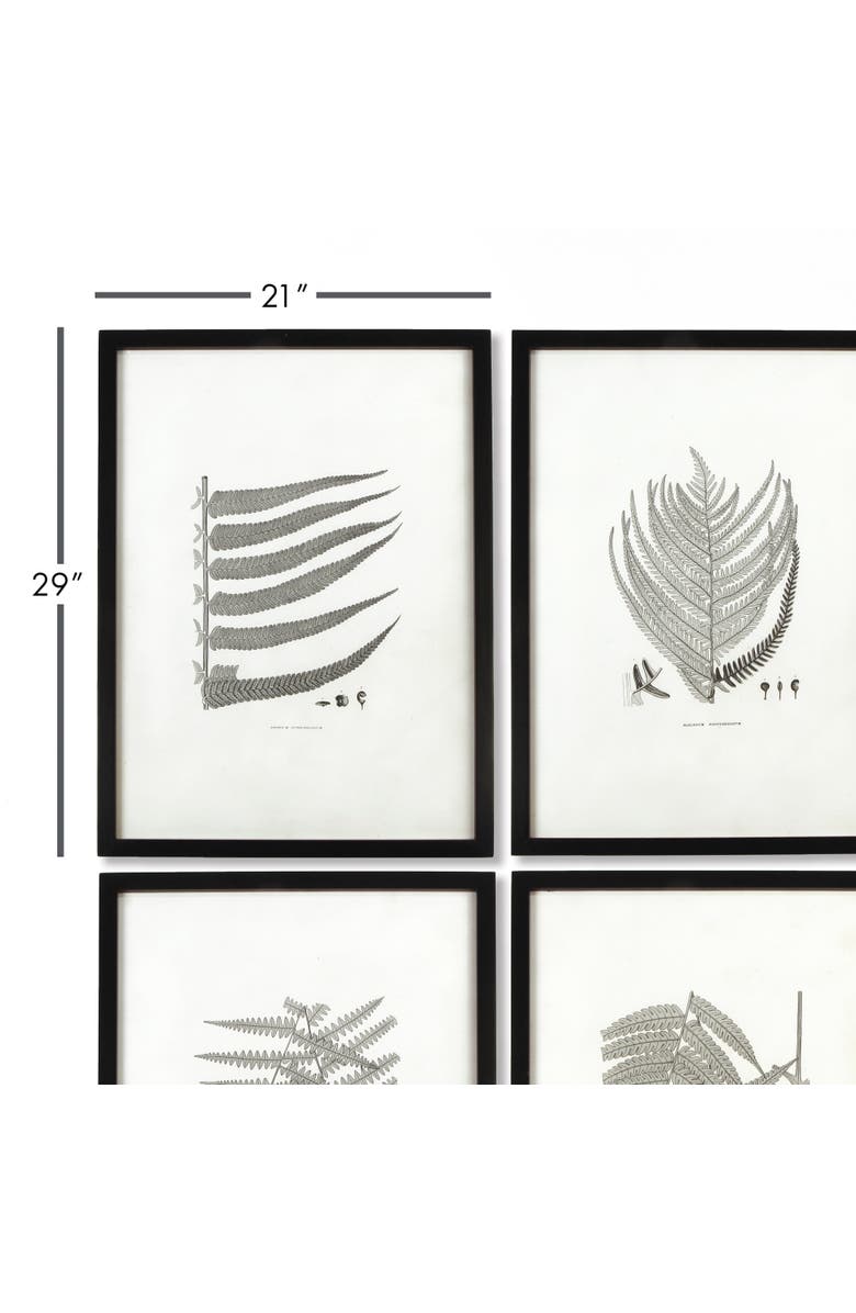 Napa Home & Garden Framed Gray-Tone Fern Prints Set of 6, Alternate, color, Black