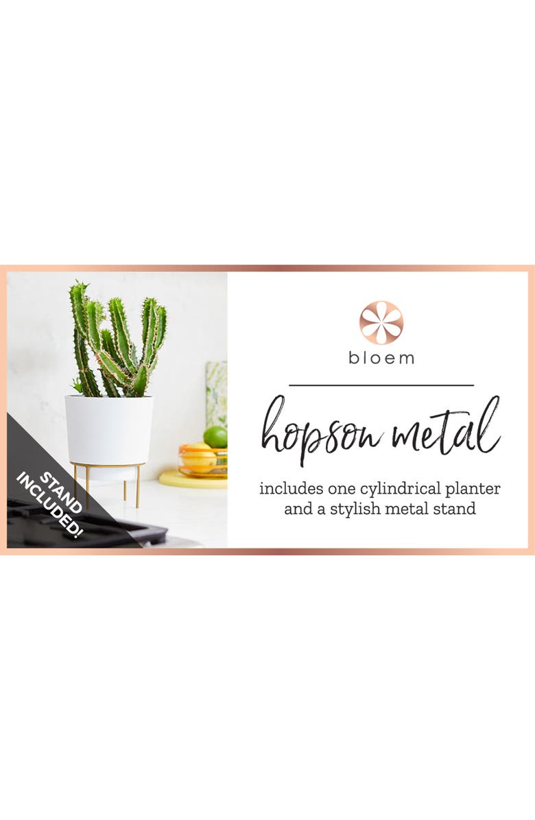 Bloem Hopson 10 Inches Casper White Planter w/ Metal Gold Stand, Alternate, color, White