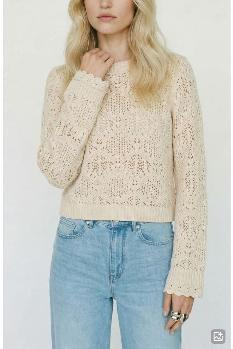 Susana Pointelle Cotton Blend Sweater, Alternate, color, BIRCH