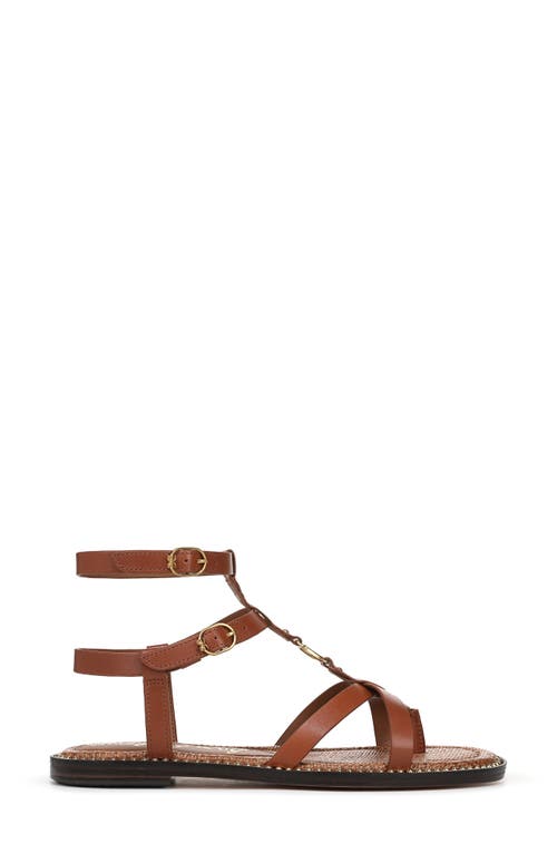 Sam Edelman Teeni Gladiator Sandal Cognac Brown Leather In Brown