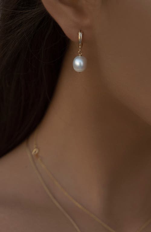 Albisia Oro Pearl Hoops In 14k Gold Filled