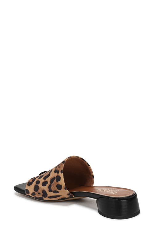 FRANCO SARTO FRANCO SARTO LORAN SANDAL