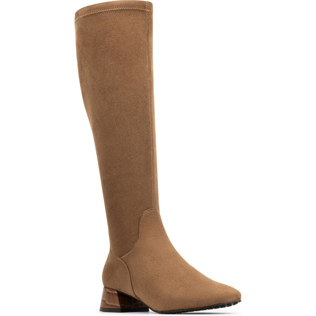 Donald Pliner Regina Knee High Boot In Brown