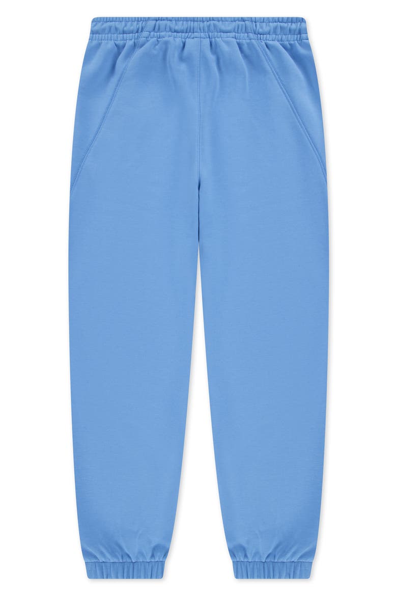 Kids' Dri-FIT MJ Core Sport Pants, Alternate, color, UNIVERSITY BLUE