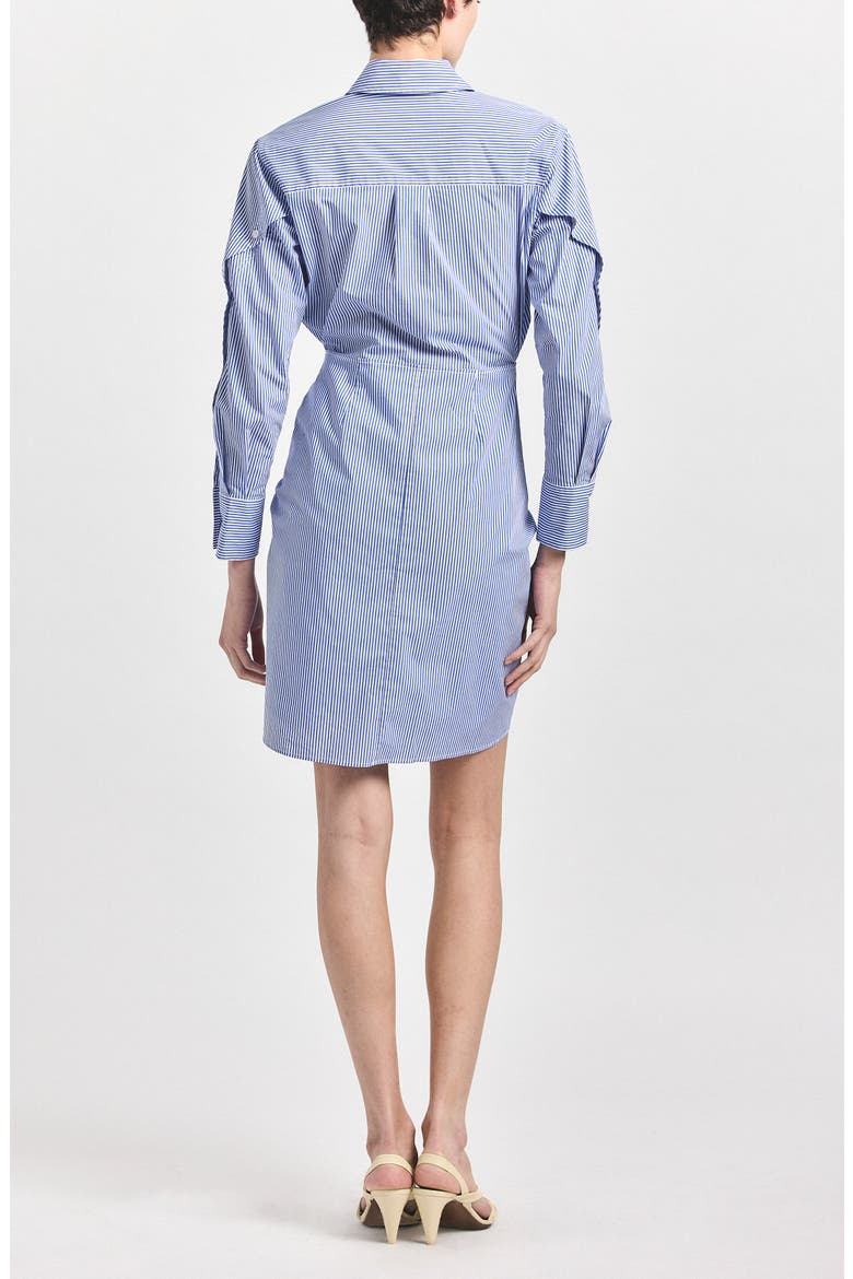 Stripe Long Sleeve Tie Waist Shirtdress, Alternate, color, BLUE/ WHITE