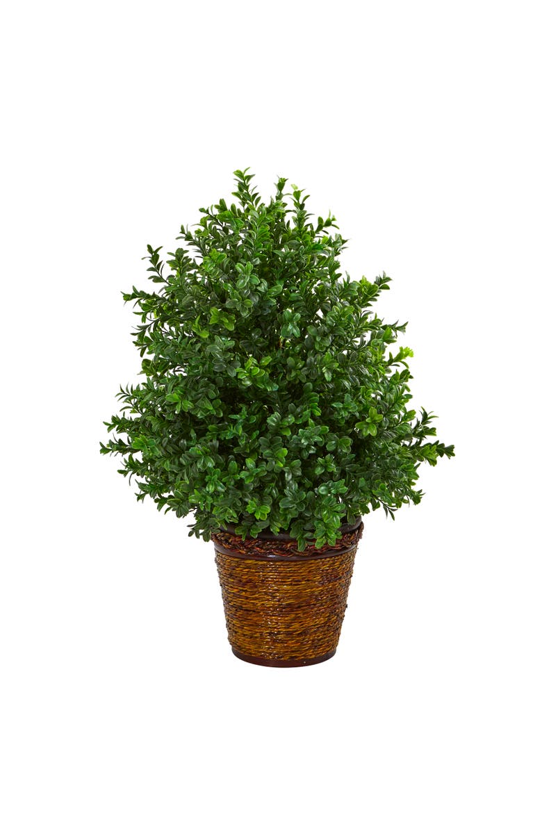 NEARLY NATURAL 23-in Sweet Grass Artificial Plant in Basket, Main, color, Green