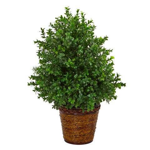 23-in Sweet Grass Artificial Plant in Basket (Indoor/Outdoor)