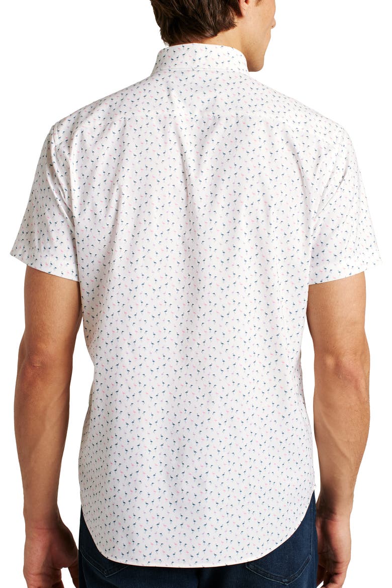Flamingo Print Short Sleeve Performance Button-Up Shirt, Alternate, color, PHIL FLAMINGO C33