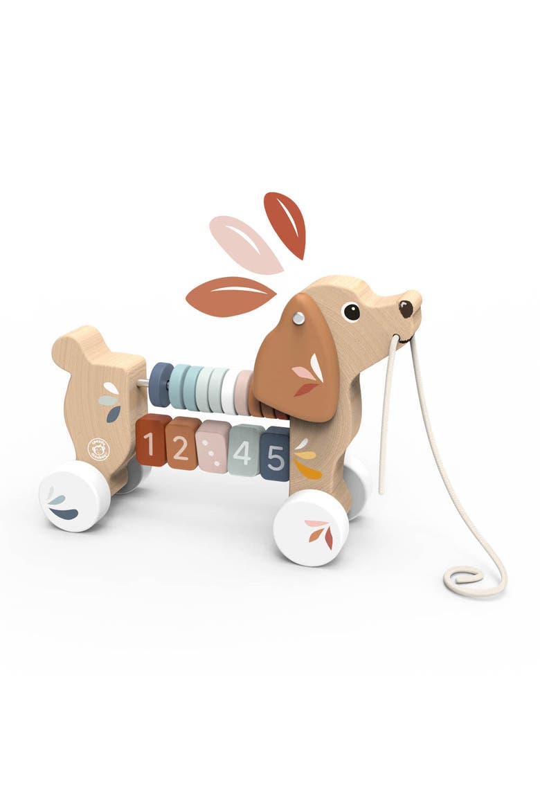 Puppy Pull along, Main, color, Multi