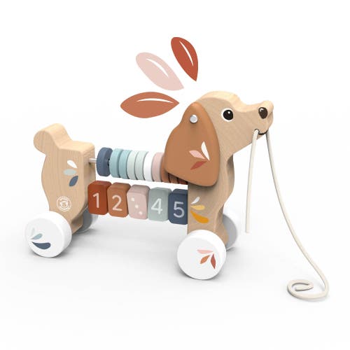 Speedy Monkey Puppy Pull Along In Multi