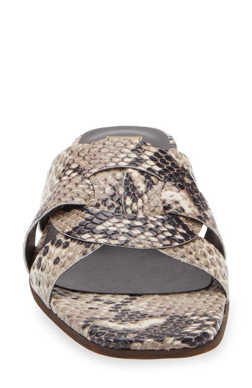 Bruno Magli Alessia Sandal In Black/white Snake