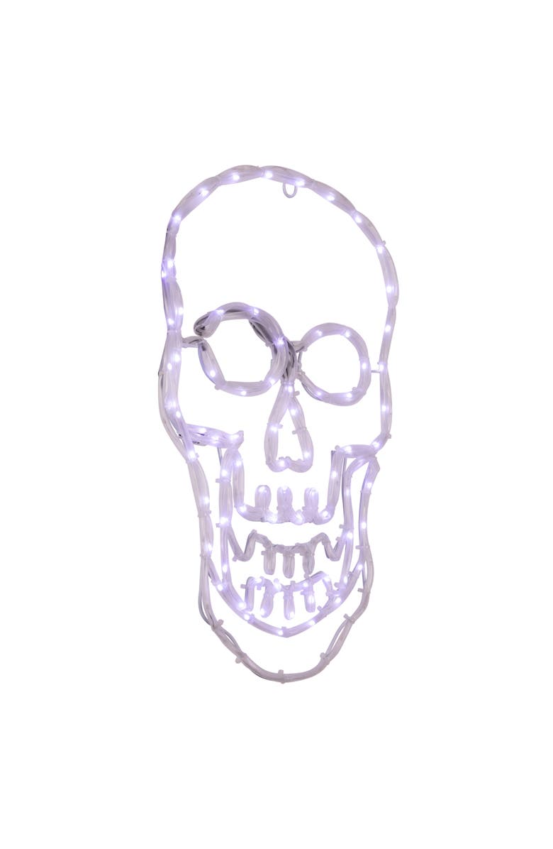 Northlight LED Lighted 4 Function Skull Halloween Window Decoration - 18", Alternate, color, White