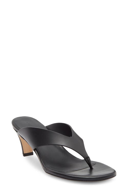 Freda Salvador Flip Flop In Black