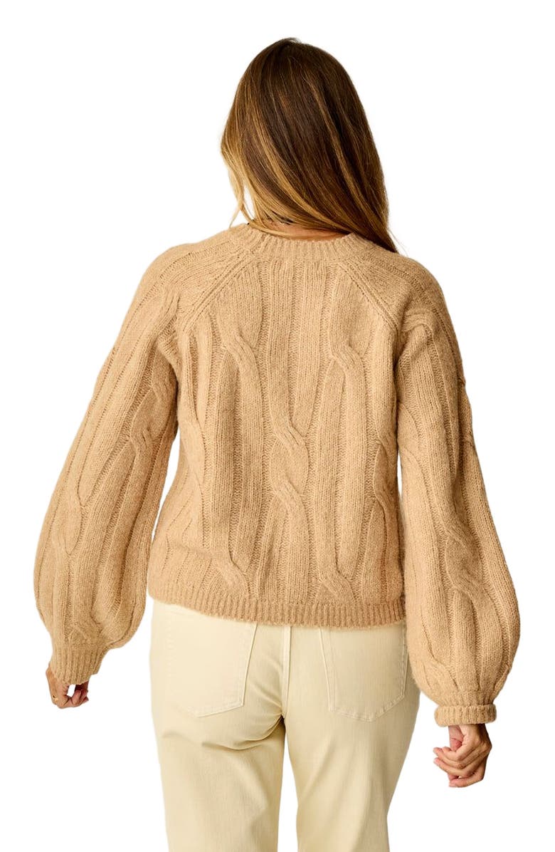Carve Designs Eloise Wool Sweater, Alternate, color, Camel
