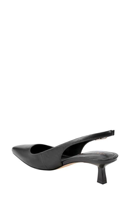 Marc Fisher Ltd Kory Pointed Toe Kitten Heel Pump In Black