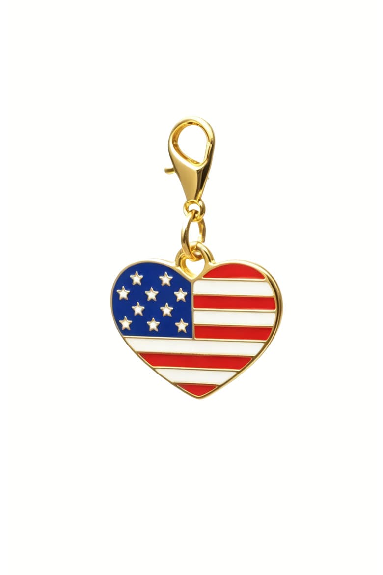 American Heart Pet Collar Charm, Main, color, American Heart