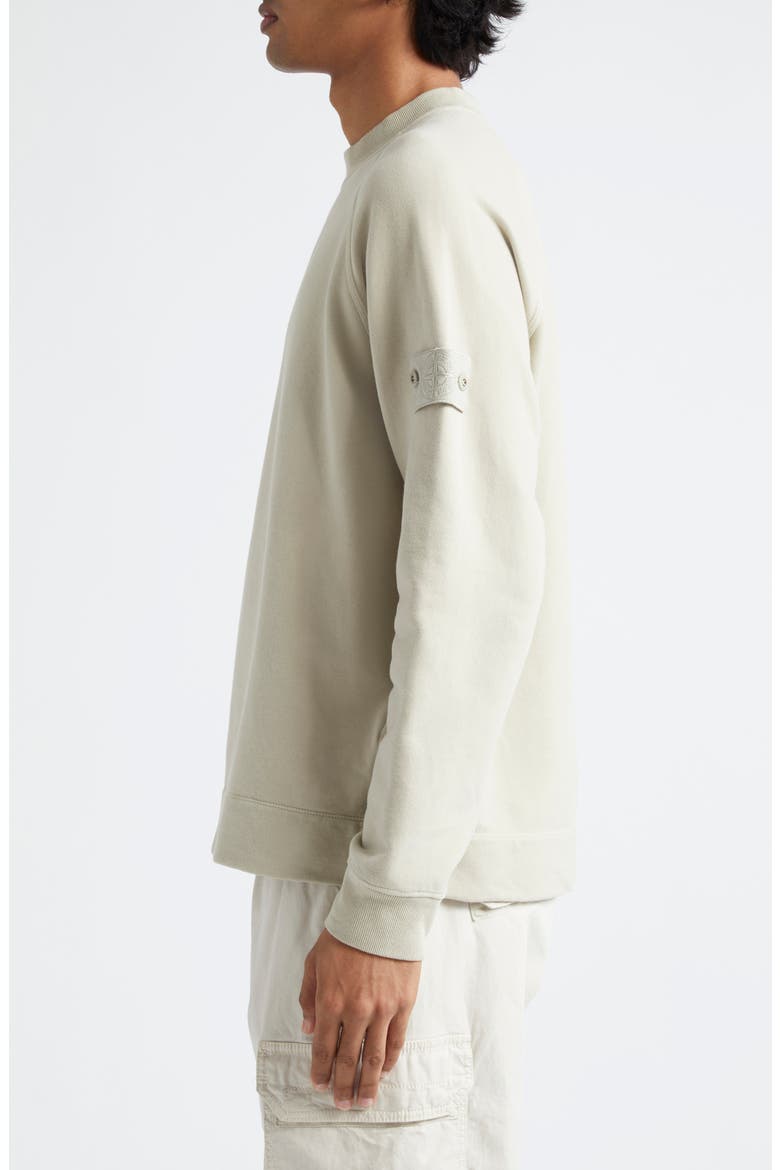 Compass Logo Fleece Sweatshirt, Alternate, color, BEIGE
