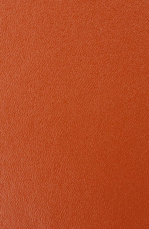 Valentino By Mario Valentino Dolly Logo Buckle Leather Belt In Cinnamon