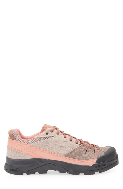 Salomon X-alp Rubber And Mesh-trimmed Suede Sneakers In Etherea/russet/hyma Pink
