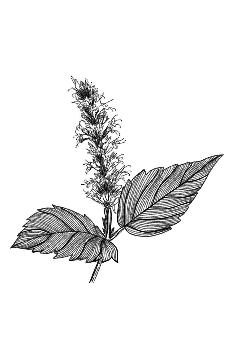 AMOUAGE Outlands Eau de Parfum, Alternate, color, 