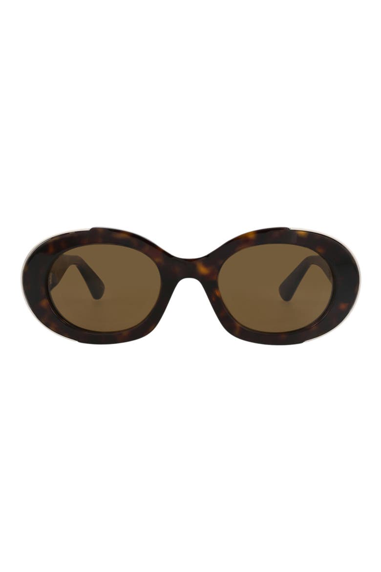 Sunglasses, Main, color, HAVANA HAVANA BROWN