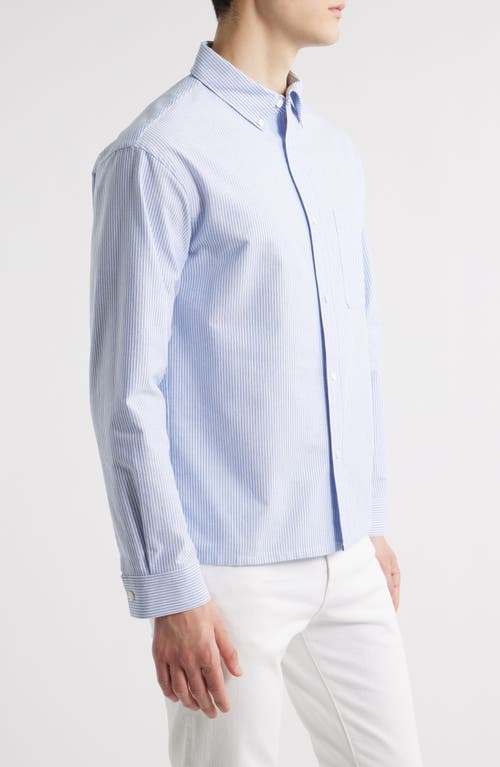 Frame Stripe Cotton Button-down Oxford Shirt In Blue Stripe