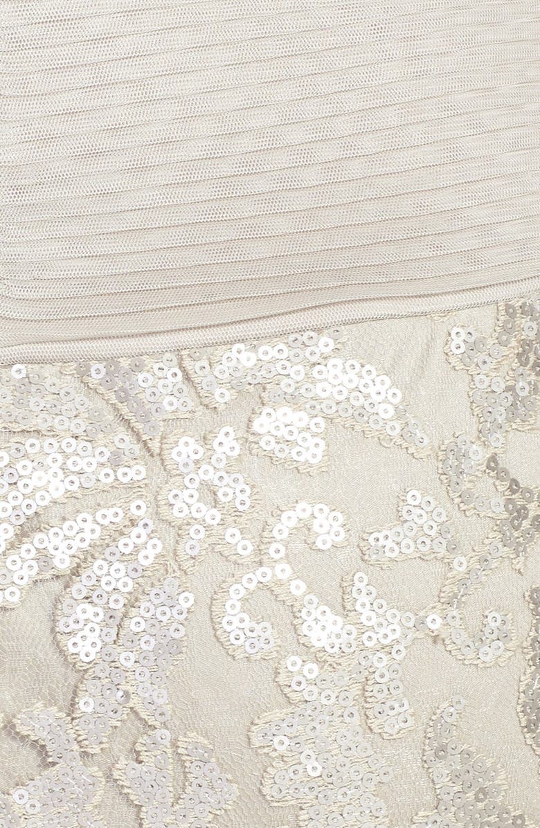 Tadashi Shoji Sequin Lace Gown, Alternate, color, 