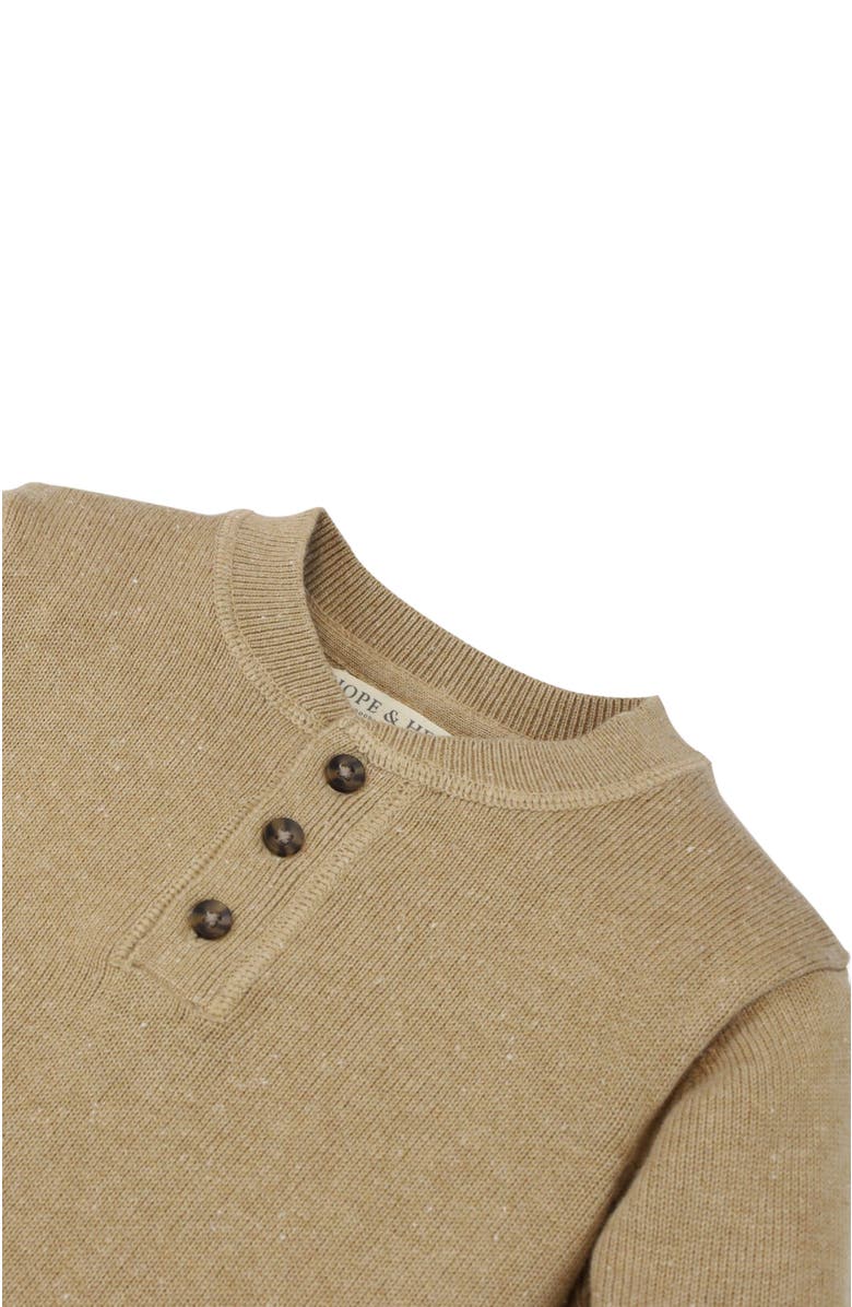 Hope & Henry Baby Boys' Organic Sweater Henley, Infant, Alternate, color, Camel Heather