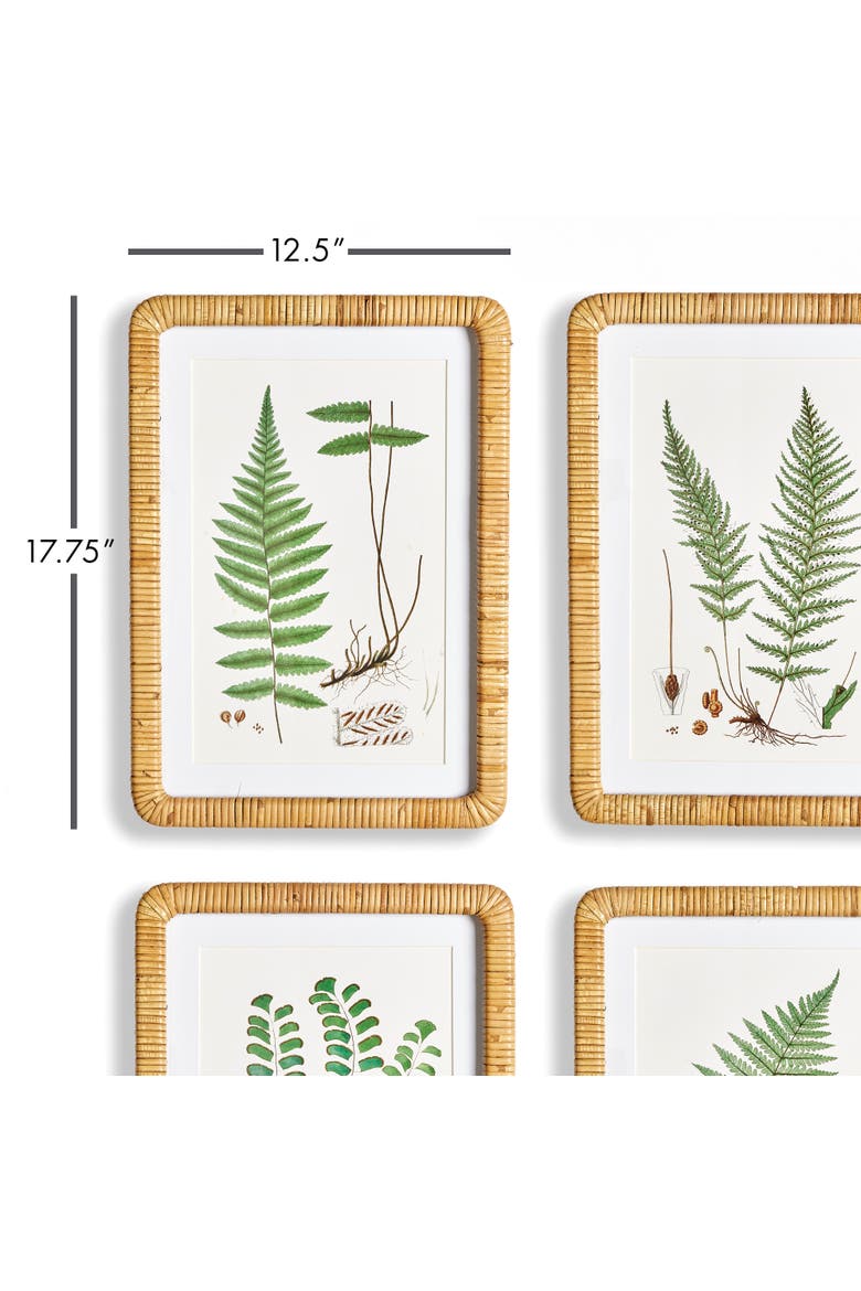 Forest Fern Prints Set of 4, Alternate, color, Green