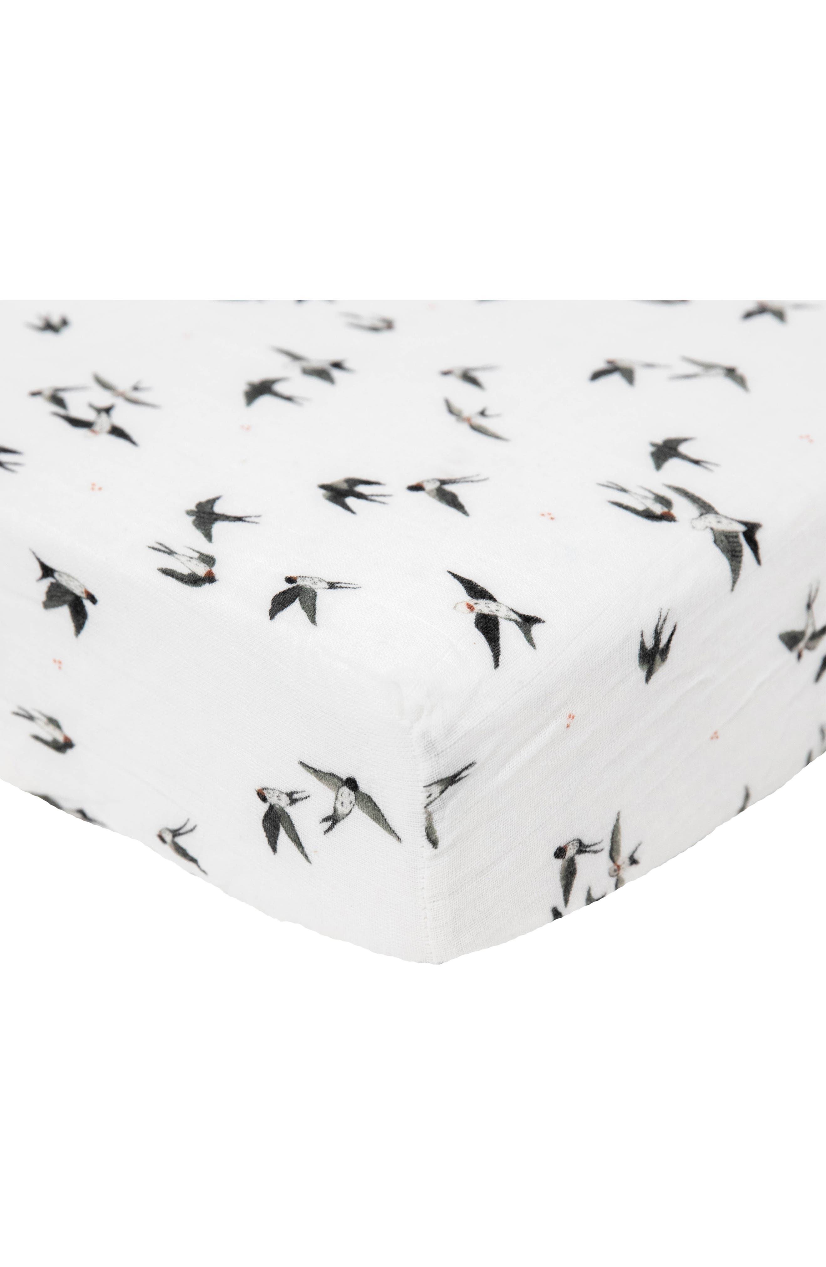 SWALLOWS