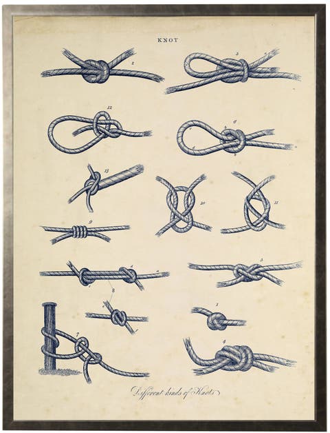 Vintage Bookplate Of Knots In Navy